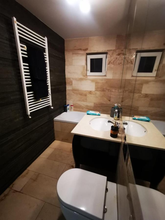 טימישוארה Luxury Apartment. 10 Minutes Taxi Ride To Center מראה חיצוני תמונה