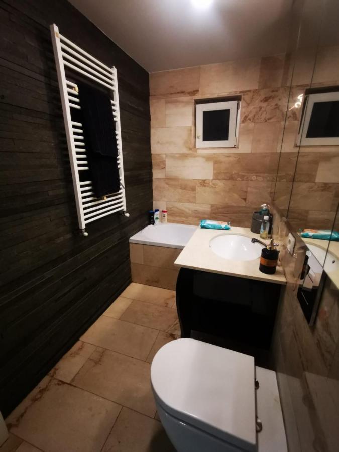 טימישוארה Luxury Apartment. 10 Minutes Taxi Ride To Center מראה חיצוני תמונה